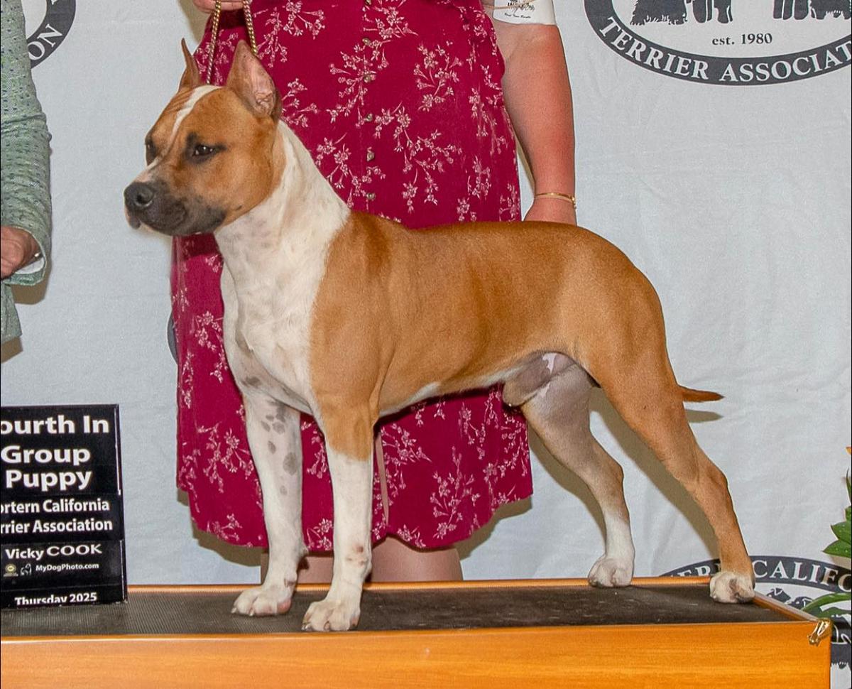 Ironstone's Wicked Lightning Strike