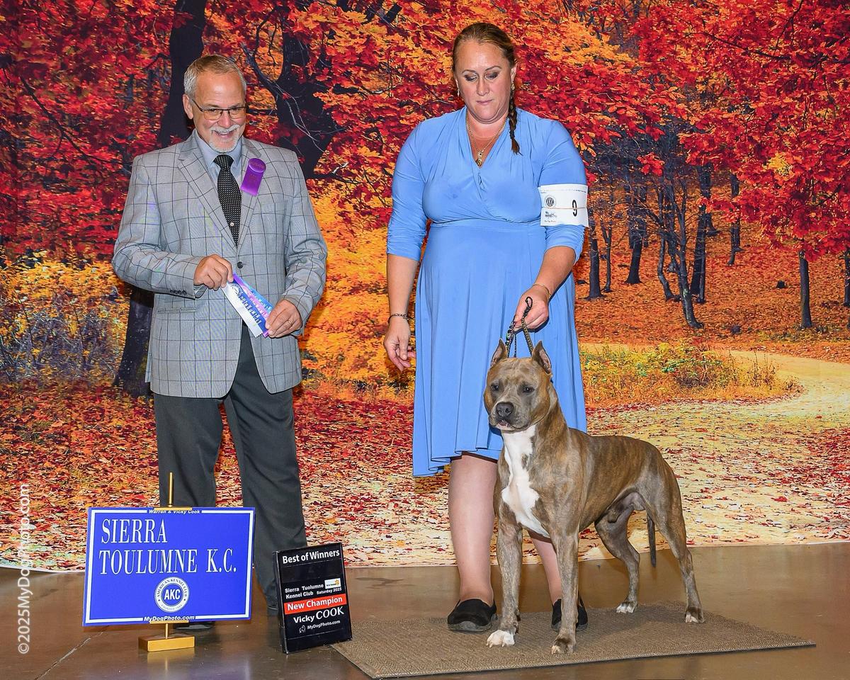 Ironstone's Screaming Eagle