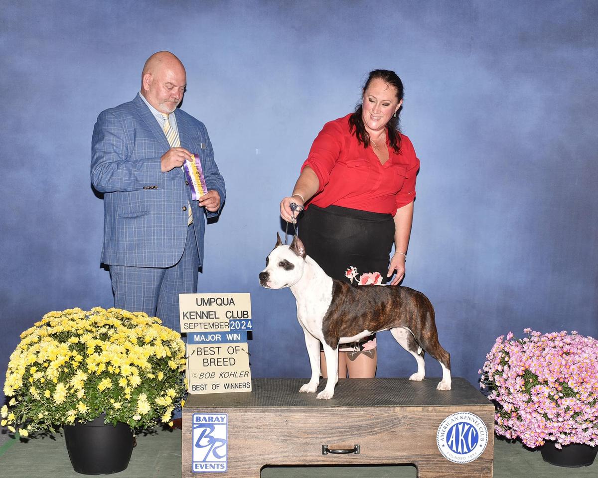 Ironstone's Wicked Pandamonium