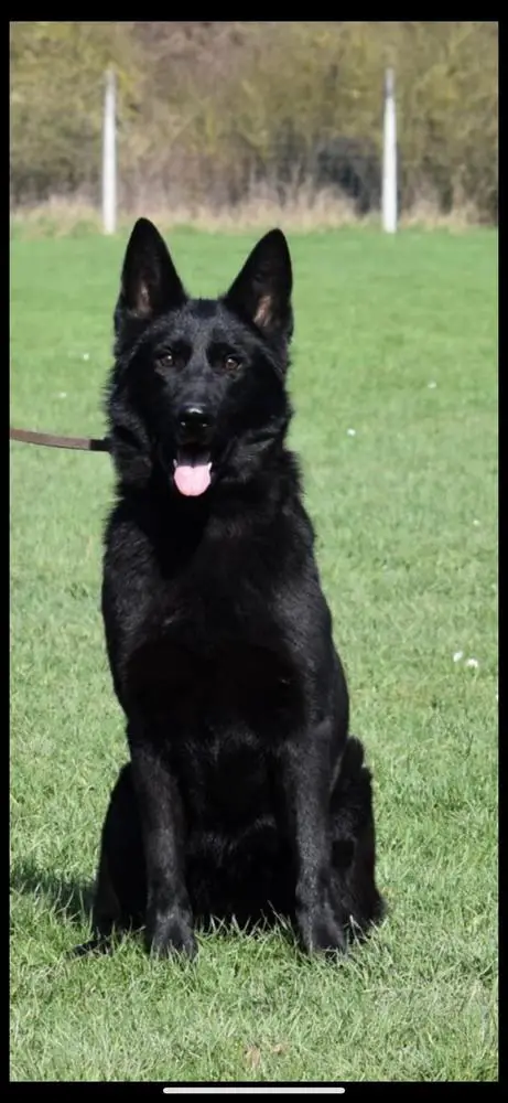 Ursula Von Der Bergschlucht