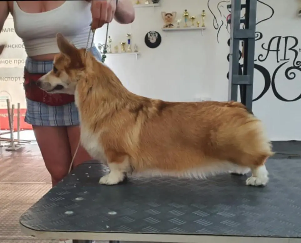 SOLE MIO NORD SHTORM