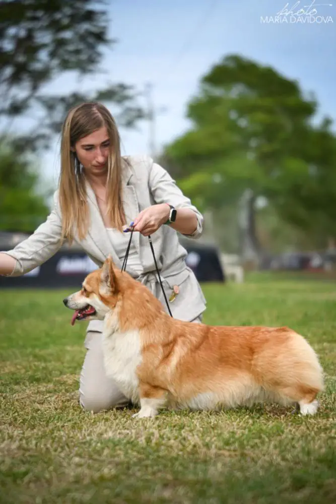 URBAN THE ENERGY OF LIFE