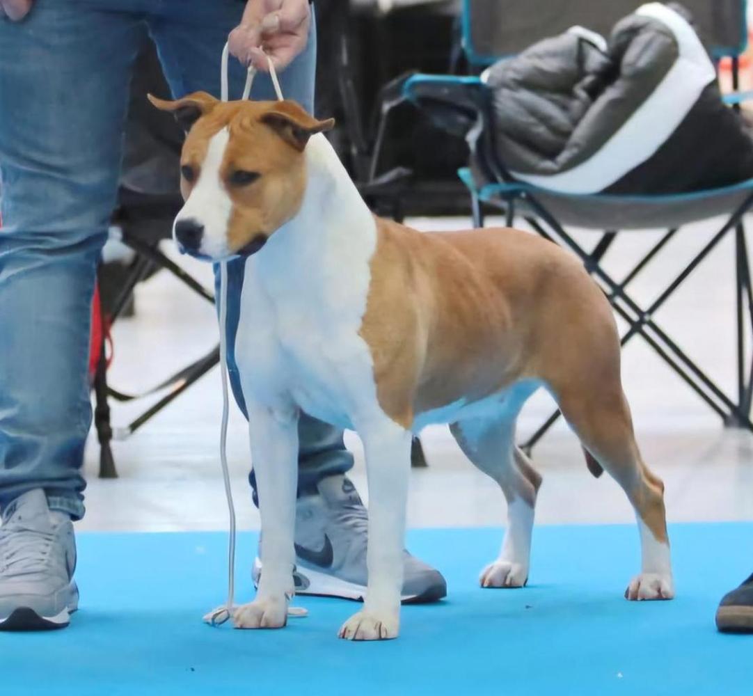 ATENEA RAMSCAL STAFF