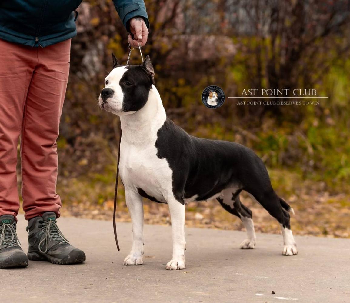 AST POINT CLUB DESERVES TO WIN