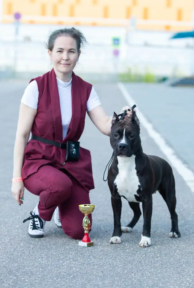 CANIS WOLF OBERT LI KEY