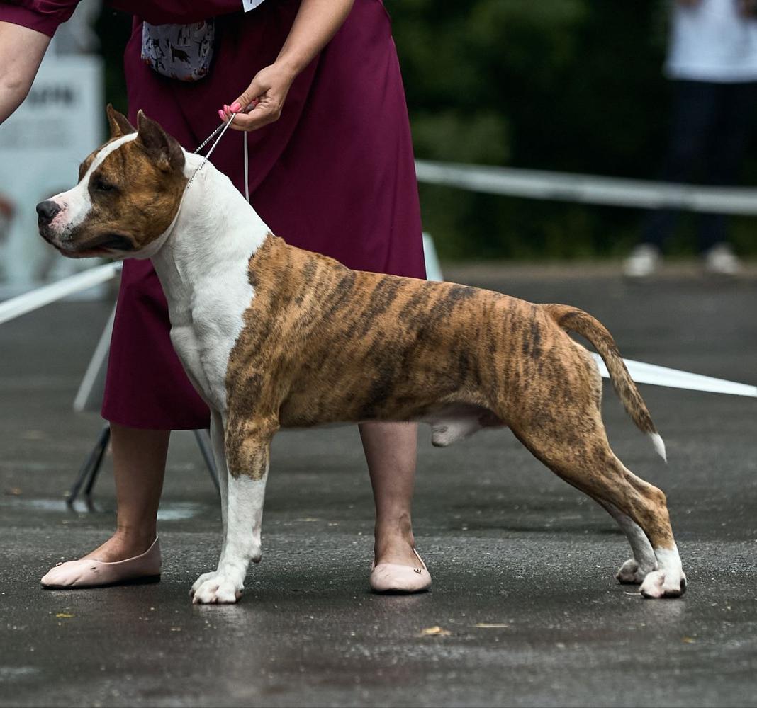 Elkon Regard God is a DJ