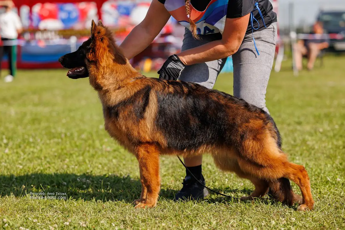 Erben Welt Stern Fabiana