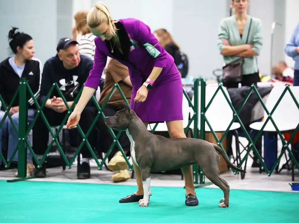 RUSALKA IZ OZERA MECHTY