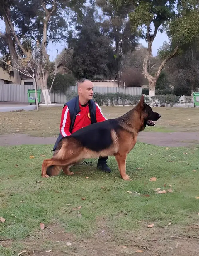 Cirus Di Casa Cotroneo