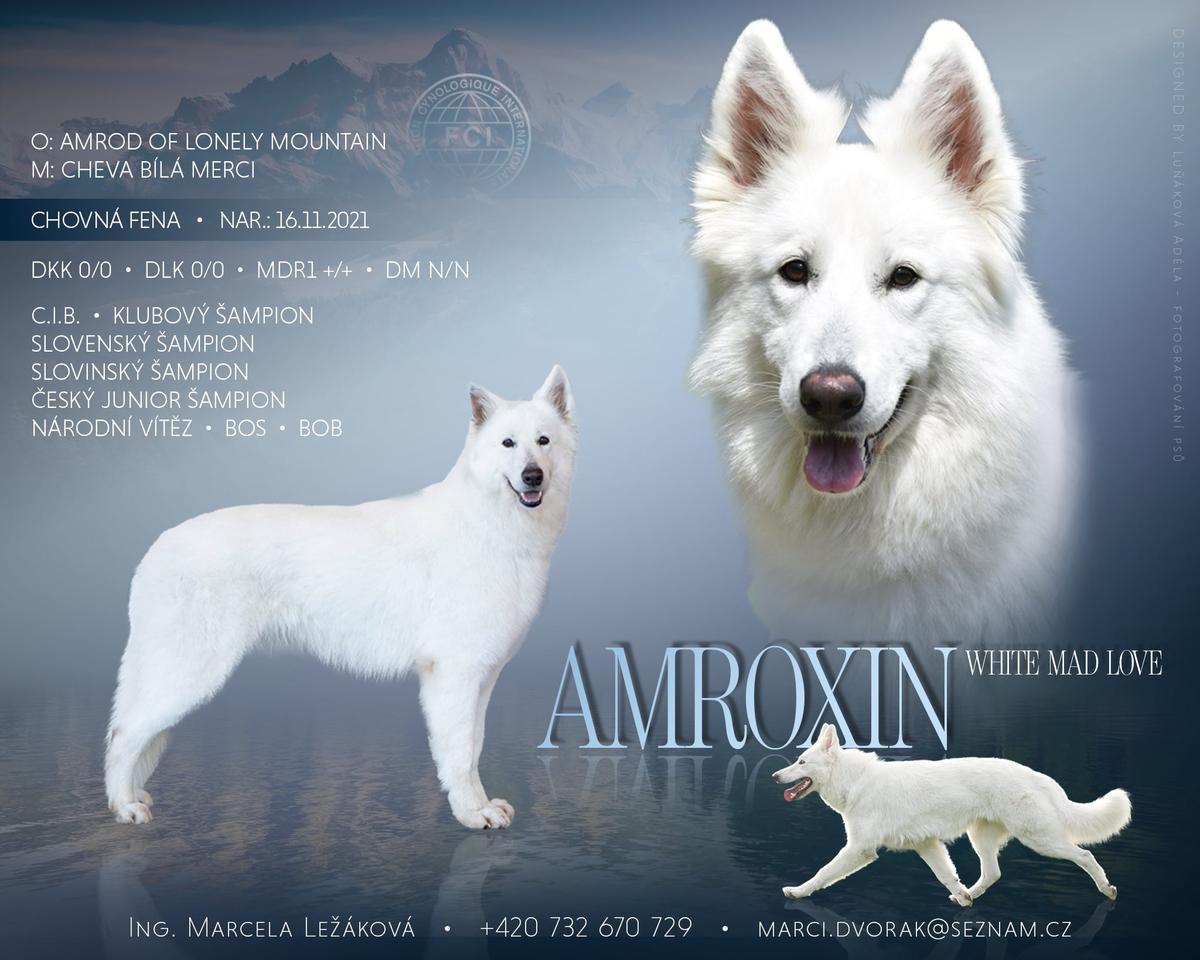 Amroxin White Mad Love