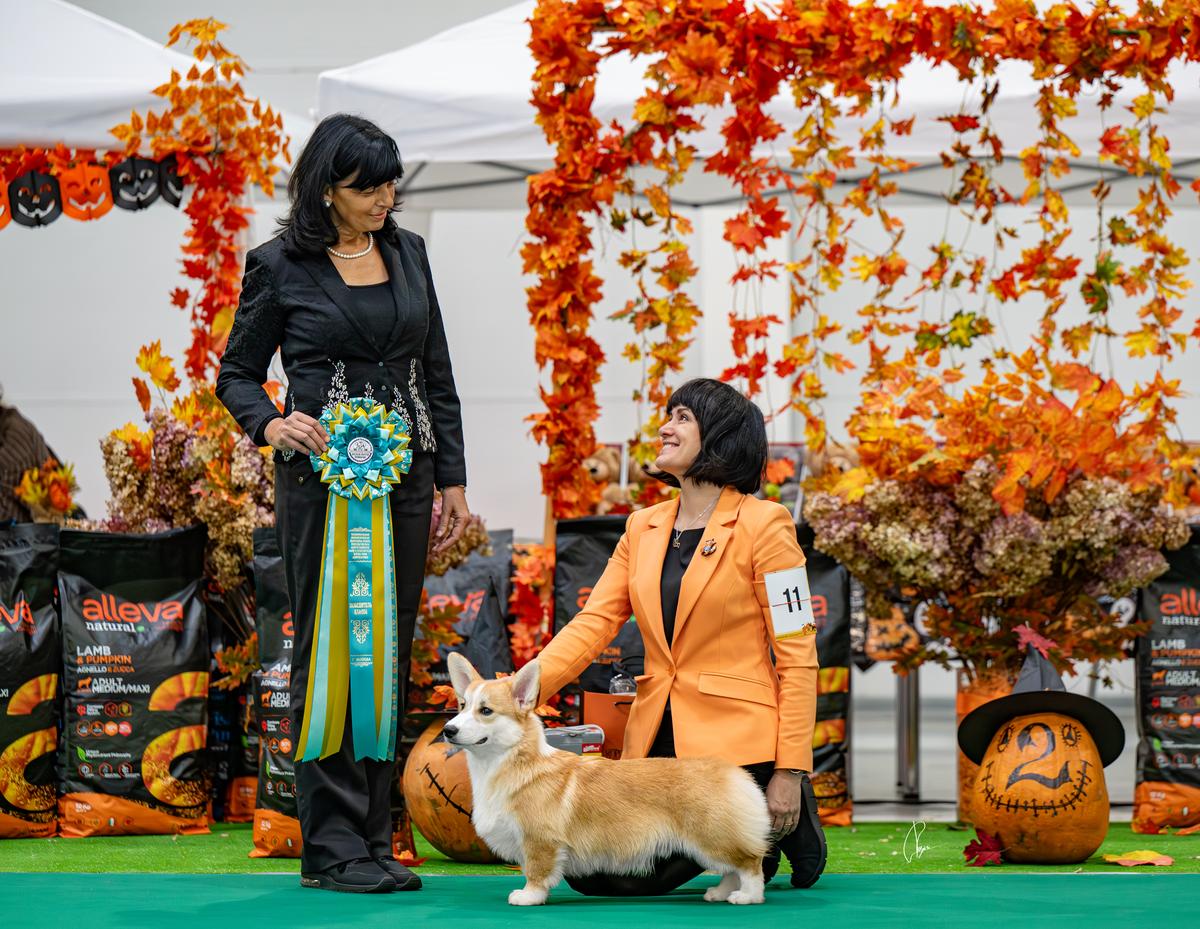 BRANDY S YABLONEVOGO SADA