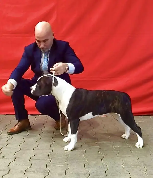 Carmichael's Carl Philip