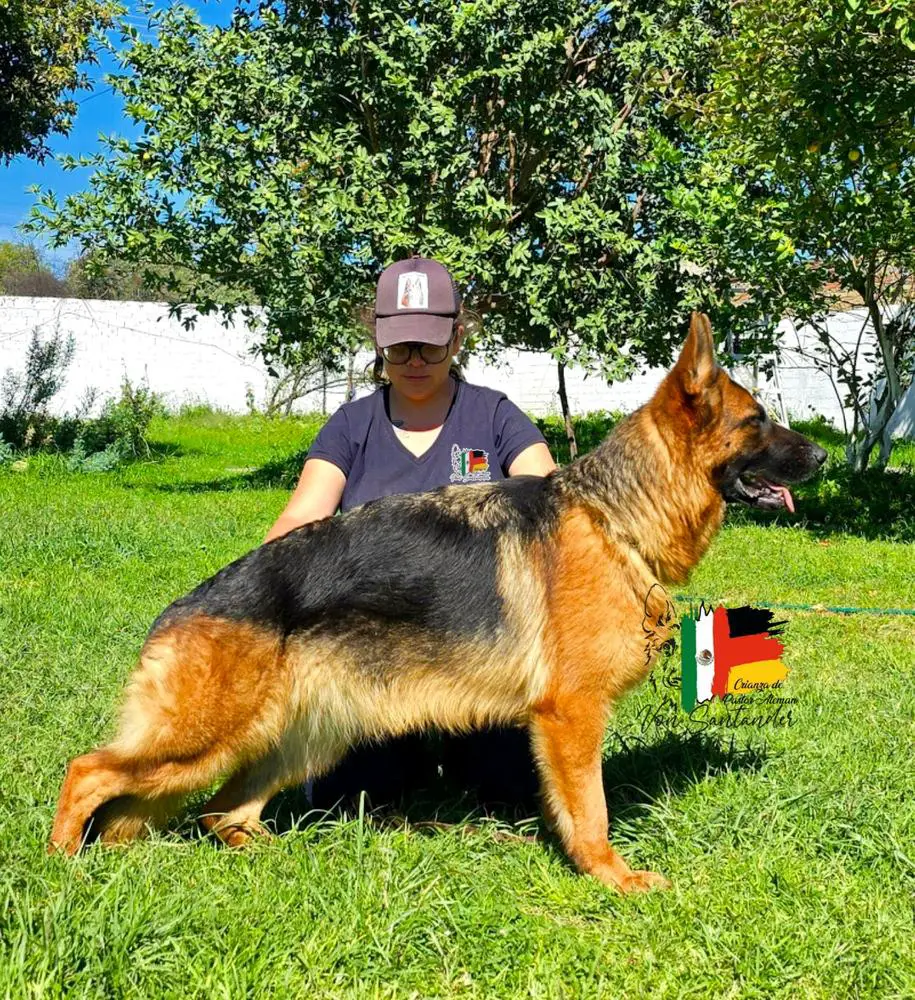 Ginebra Von der Raframar