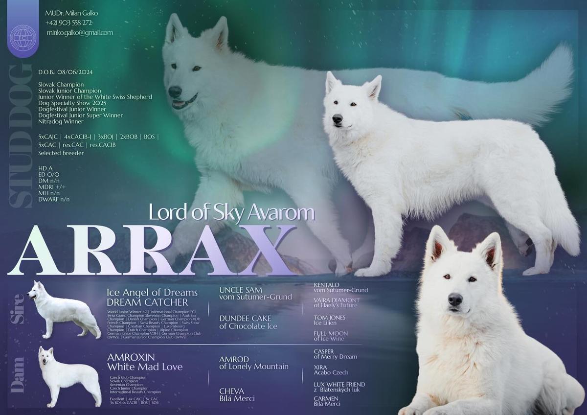 Arrax Lord Of Sky Avarom