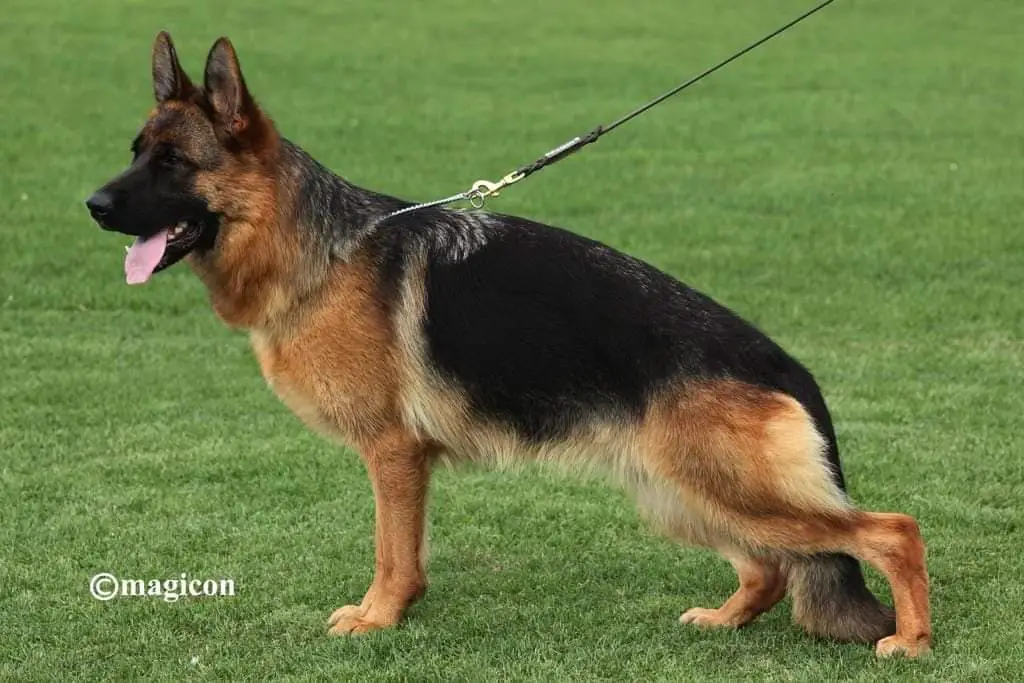 Orona vom Grafenbrunn