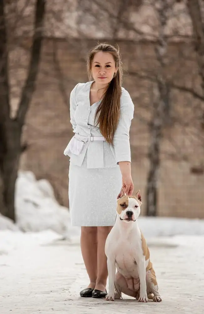 FIDEL FAUD HLOYA DLYA NOCHNOY VERONY