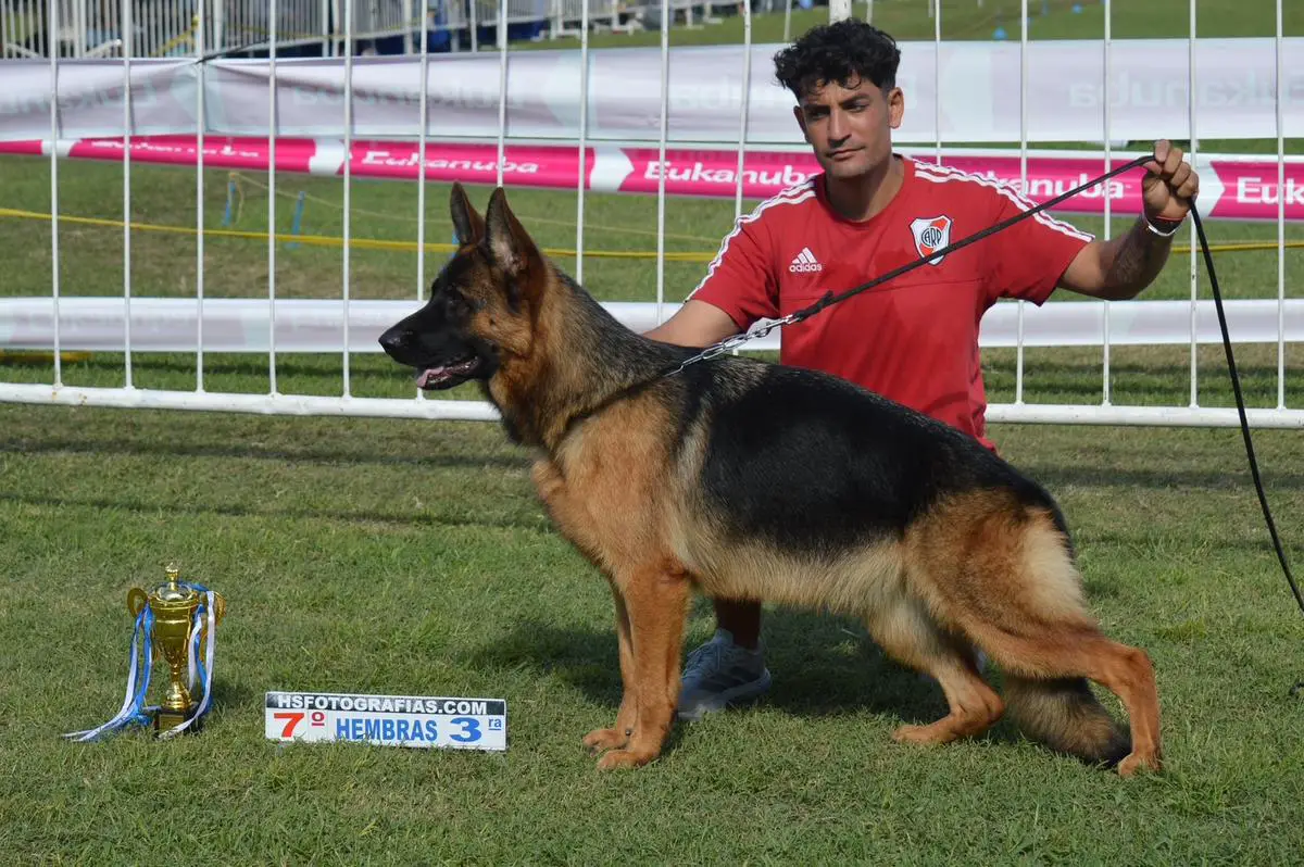 Nayla team verbünden