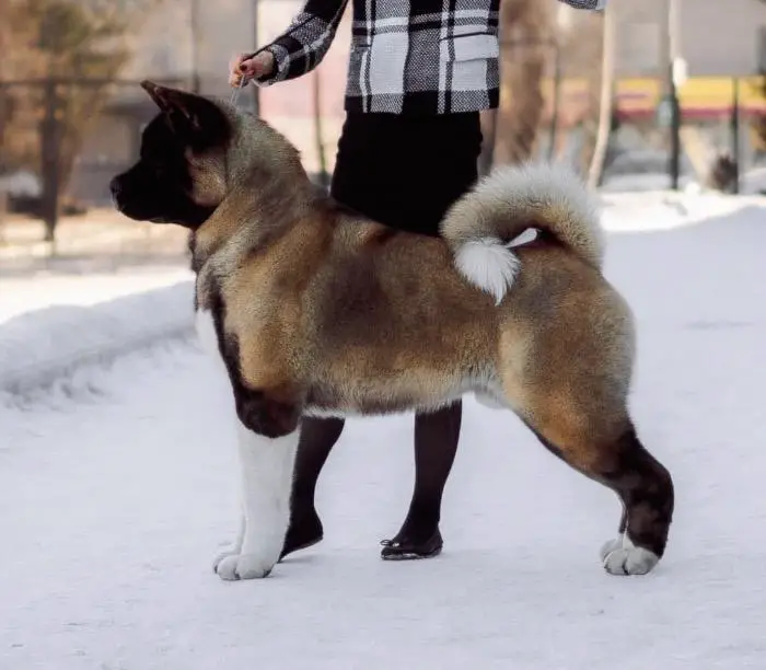 Aleks Beautiful Line Gucci