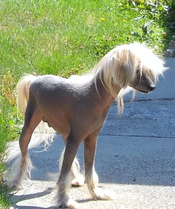 prancing little denver baby