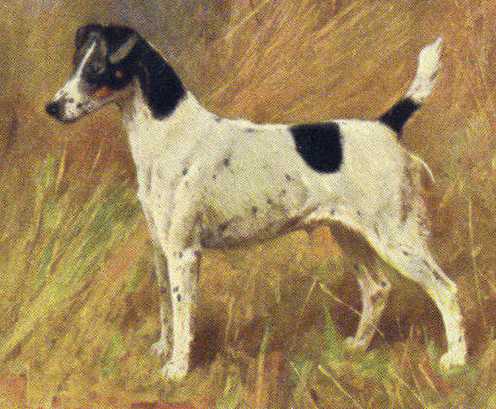 Duchess Of Durham