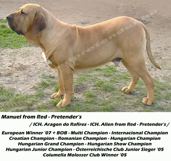 EUW. Manuel from Red - Pretender's