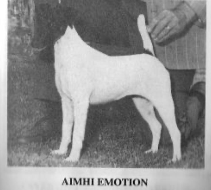 Aimhi Emotion