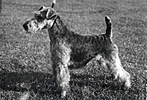 Tenne v.d Bismarckquelle