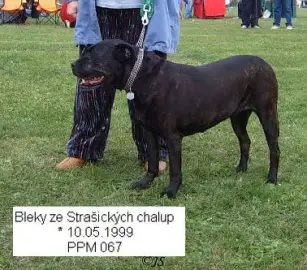 Bleki Ze Strasickych Chalup