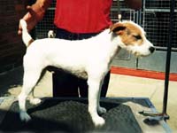 Howlbeck Pacific Driver