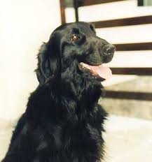 Kajta Mimojska