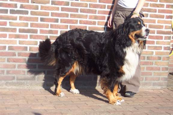 Uschi vom Ewigen Meer