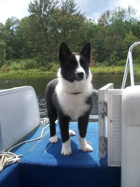 Grawpaws Eeva
