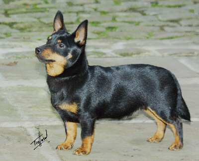 Doddsline Kenmillto Arnold