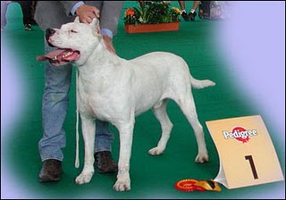 Actarus