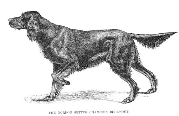 Bellmont