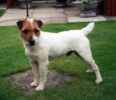 Howlbeck Uno-Piper