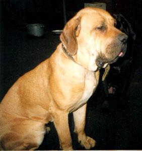 Asmiral`da El` Viradger