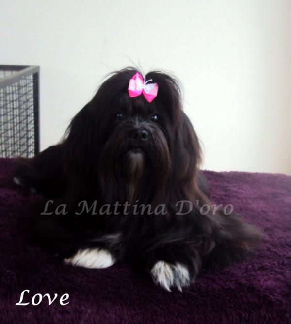 Touch of Love di La Mattina D'oro