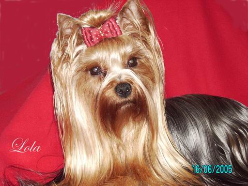 Lola de Las Cirajas