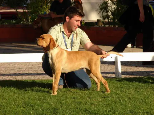 bolata do vale das tagides