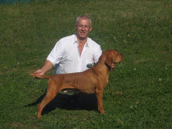 alf de tagus