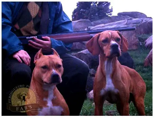 astrolopitecus primus da quinta do pasto