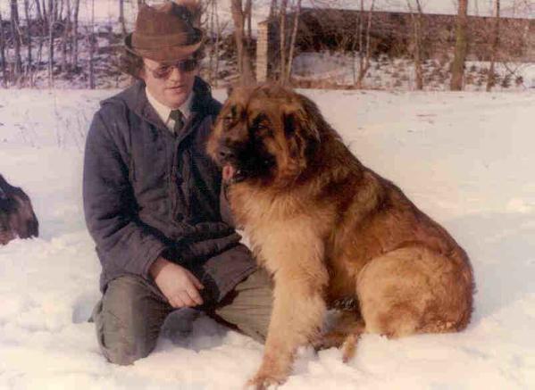 Alf v. Haus Schluter