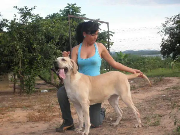 Brenda De Leinaro