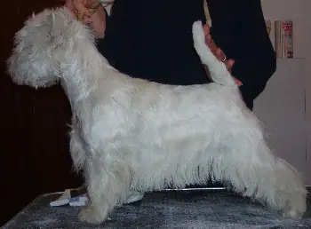 Beaty Snow Princess