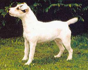 Tilly (Sayner) G-0-1913346
