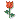 Rose Rose