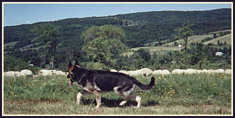 An image