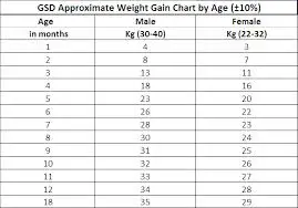 German Shepherd Age Weight Chart