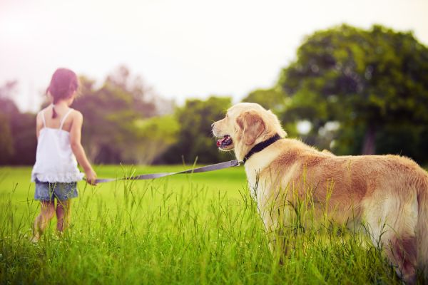 Young girl with old dog